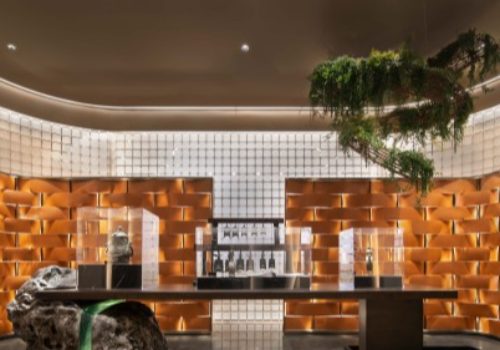 TITAN Property Winner - Ripple Aesthetics
